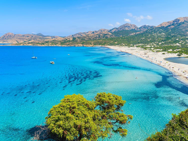 Calvi (Korsika, Frankreich) - Bild 1