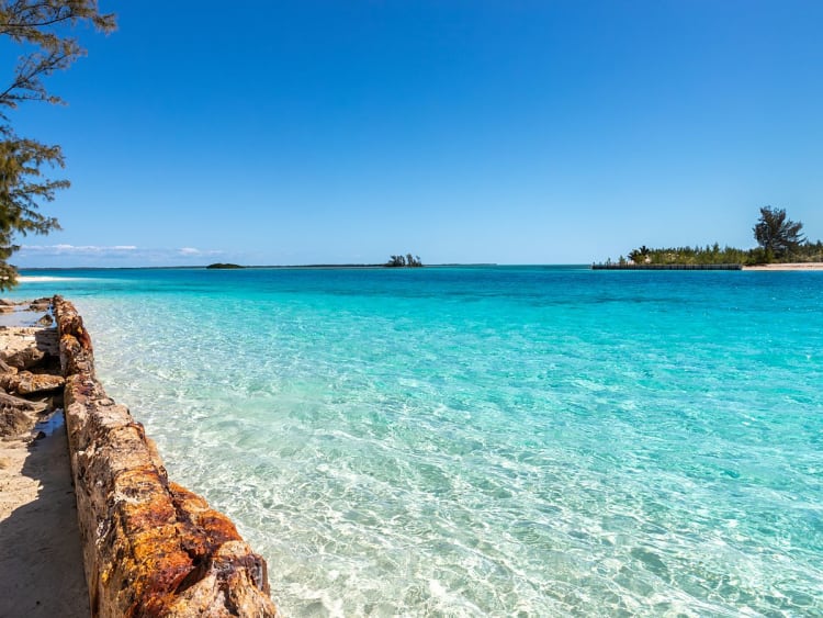 Bimini Islands (Bahama&acute;s) - Foto 40