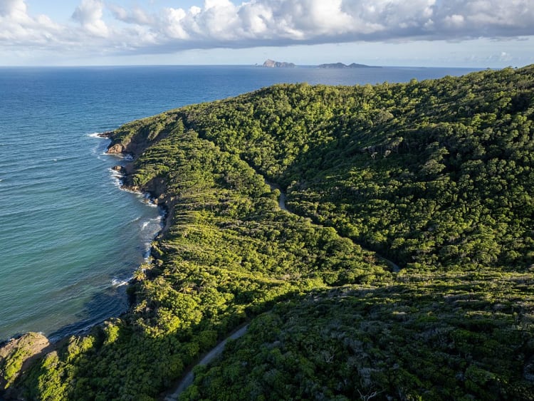 Bequia (St. Vincent & Grenadines) - Picture 36