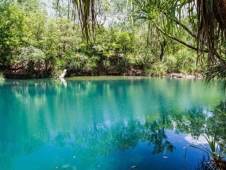 Darwin, Australien &ndash; Naturidylle mit klarem Wasser unter Palmen und Eukalyptusb&auml;umen