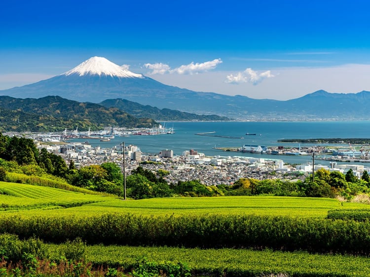 Shimizu Japan &ndash; Teeplantagen mit Blick auf Hafen und schneebedeckten Fuji