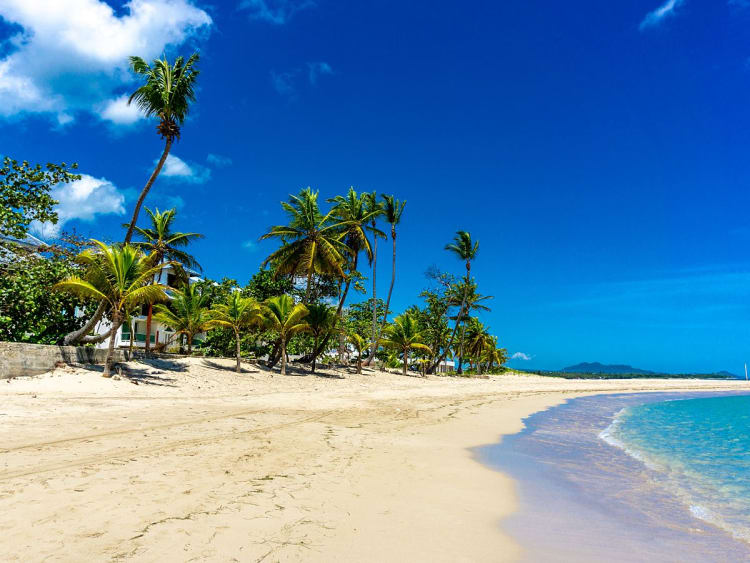 Puerto Plata, Dominikanische Republik - Palmenhimmel &uuml;ber wei&szlig;em Sandstrand und ruhigem Meer