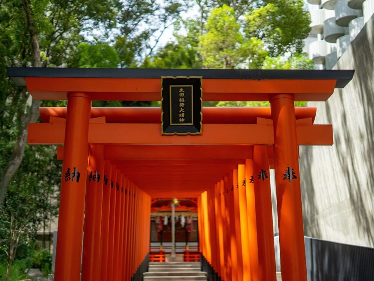 Kobe, Japan &ndash; Dicht gereihte Torii formen einen leuchtend roten Gang zum Schrein