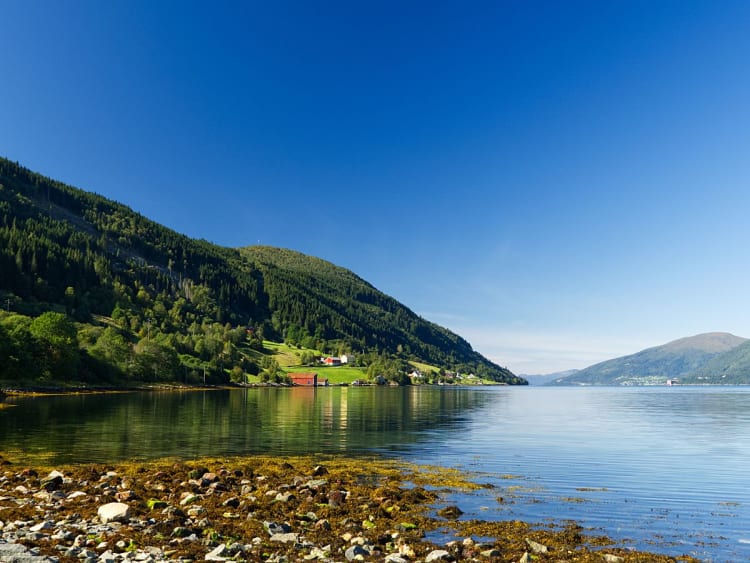 Nordfjordeid, Norwegen &ndash; Ruhiger Fjord schmiegt sich an bewaldete Bergh&auml;nge und H&ouml;fe