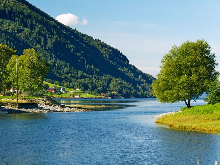Nordfjordeid, Norwegen &ndash; Sanfte Flussbiegung mit gr&uuml;nen B&auml;umen