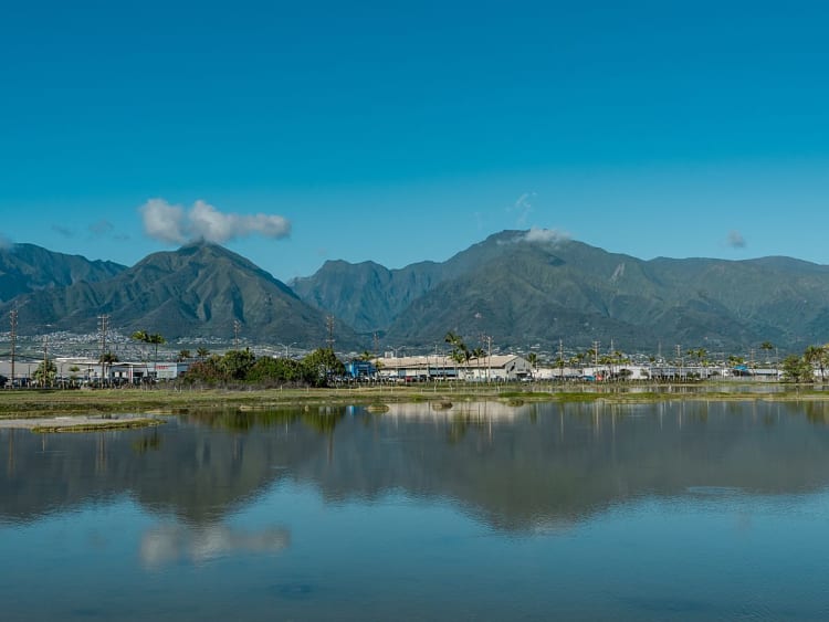 Kahului, USA &ndash; Palmen und Siedlung vor den steilen H&auml;ngen von West Maui
