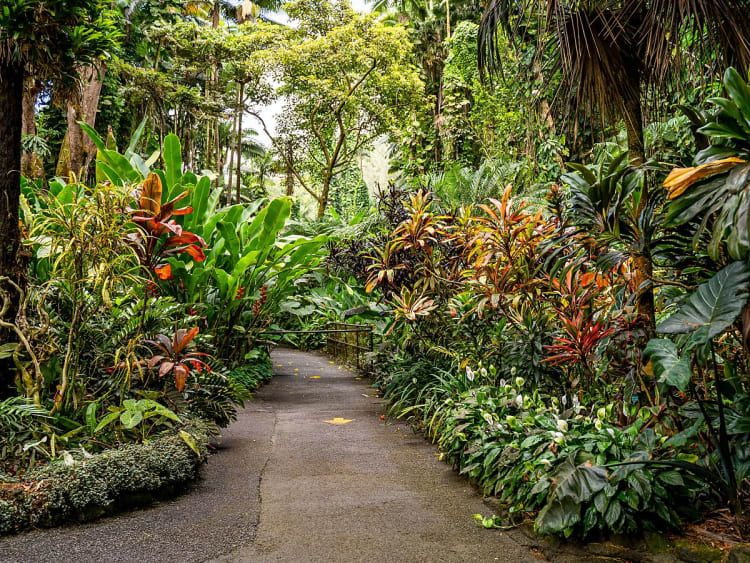 Hilo, Hawaii &ndash; &Uuml;ppiger Pfad durch den farbenfrohen Liliʻuokalani-Garten entdecken