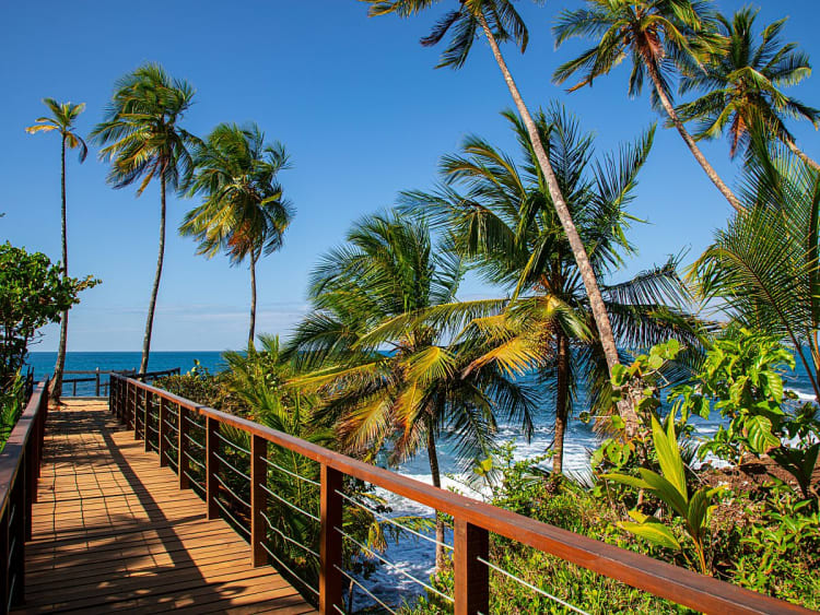 Puerto Lim&oacute;n, Costa Rica &ndash; Holzsteg f&uuml;hrt durch Palmen zur Gischt des Atlantiks
