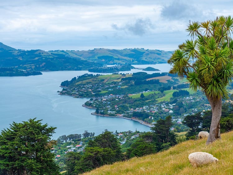Dunedin, Neuseeland &ndash; Bunte D&auml;cher schmiegen sich an die gr&uuml;nen H&uuml;gel der Otago-Halbinsel