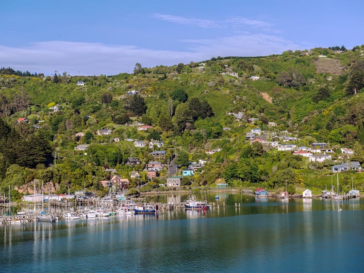 Dunedin, Neuseeland &ndash; Fischerboote ankern vor einem ruhigen K&uuml;stenort im satten Gr&uuml;n