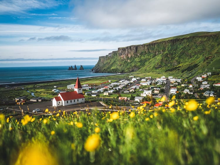 V&iacute;k &iacute; M&yacute;rdal, Island &ndash; Dorfidylle mit Blumenwiese und dramatischer Steilk&uuml;ste