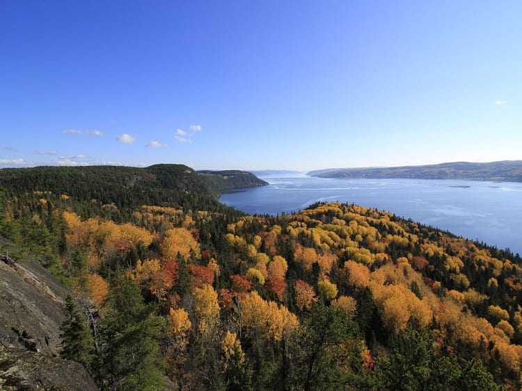 Saguenay, Kanada &ndash; Herbstwald am tiefblauen Fjord unter klarem Himmel
