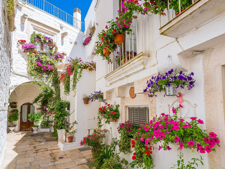 Brindisi, Italien &ndash; Wei&szlig;e Altstadtgasse geschm&uuml;ckt mit bunten Blumen