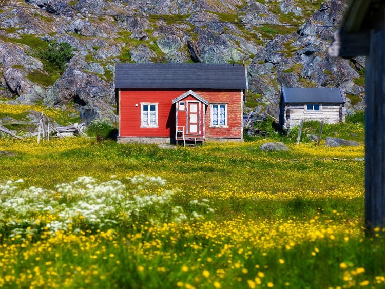 B&aring;tsfjord, Norwegen - Rotes Holzh&auml;uschen in bl&uuml;hender Sommerwiese