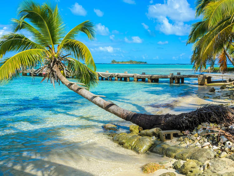 Belize City, Belize - Palmenstrand mit Holzsteg am t&uuml;rkisblauen Meer