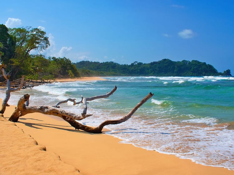 Bocas del Toro, Panama &ndash; Goldgelber Strand mit Treibholz am t&uuml;rkisfarbenen Meer