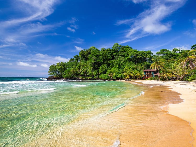 Bocas del Toro, Panama &ndash; Einsamer Sandstrand mit Palmen und Wellen