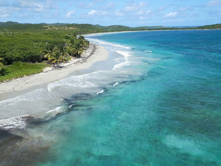 Beach, Martinique - Einsamer Strand mit Palmen und t&uuml;rkisfarbenem Meer