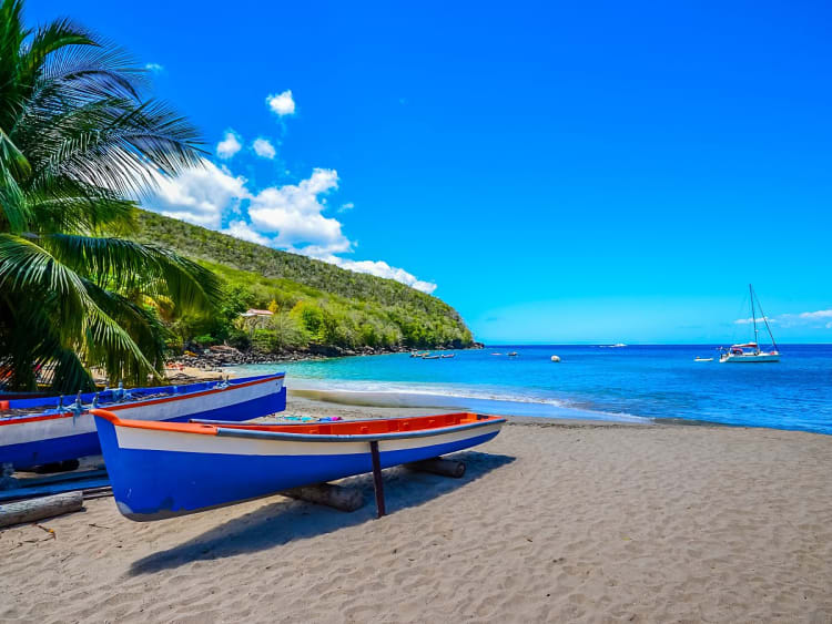 Beach, Martinique - Blaue Fischerboote am Strand unter Palmen