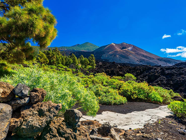 La Palma (Iles Canaries, Espagne) - Image 46