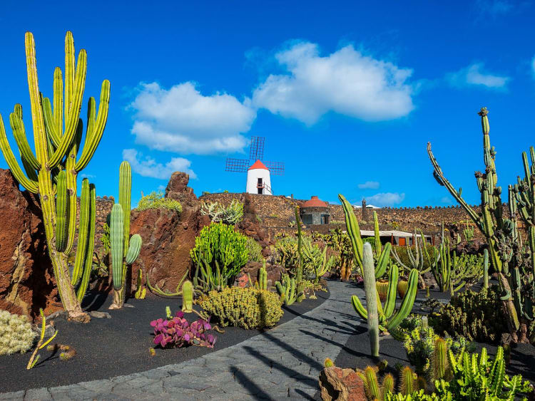 Lanzarote (Iles Canaries, Espagne) - Image 33