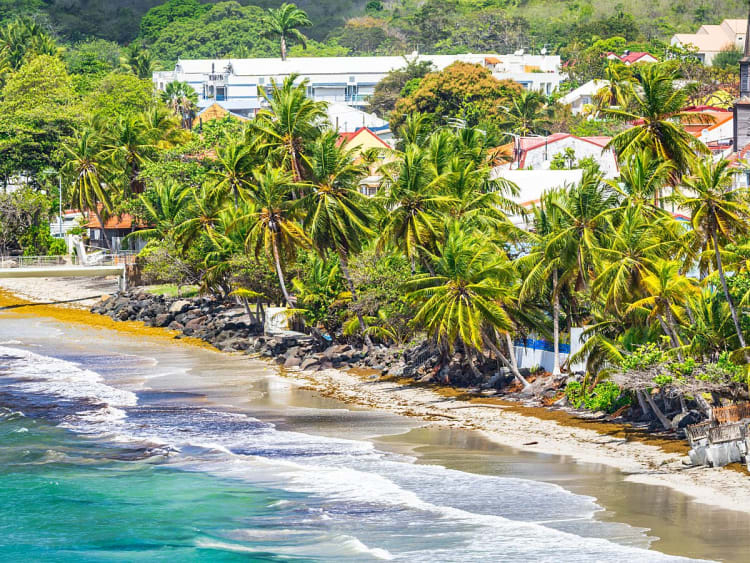 Fort-de-France, Martinique &ndash; Wellen am Strand mit Palmen