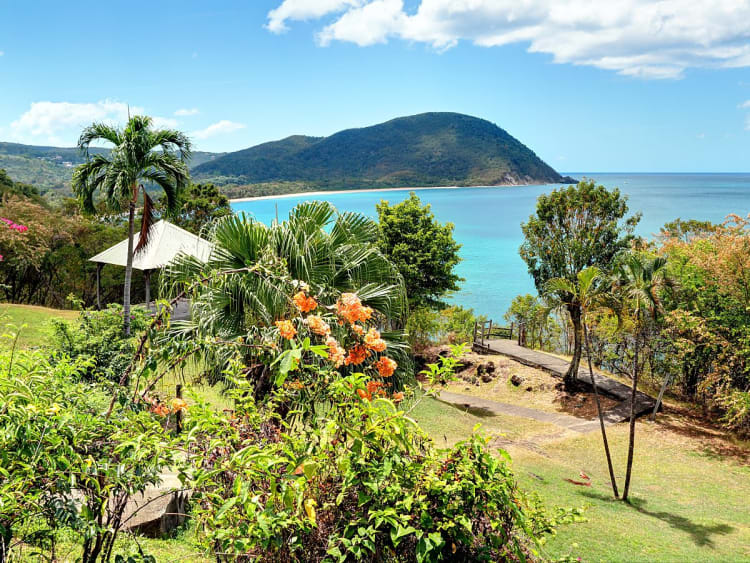 Pointe-&agrave;-Pitre, Guadeloupe &ndash; Tropischer Garten mit Blick auf t&uuml;rkisfarbene Bucht