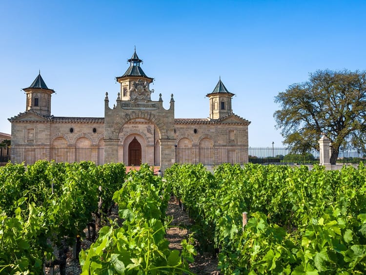 Bordeaux, Frankreich &ndash; elegantes Weingut mit Reben und historischem Ch&acirc;teau