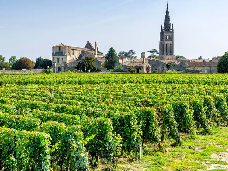 Bordeaux, Frankreich &ndash; Weinberge mit Blick auf Kirchturm von Saint-&Eacute;milion