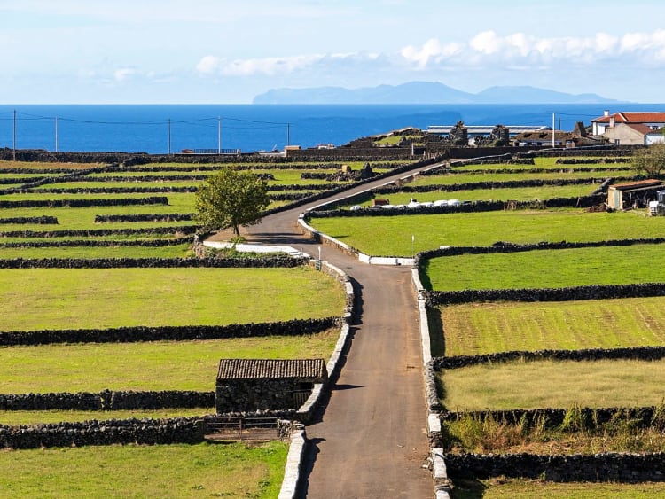 Isla Terceira, Azoren &ndash; Landwirtschaftliche Terrassen mit Blick auf den Atlantischen Ozean