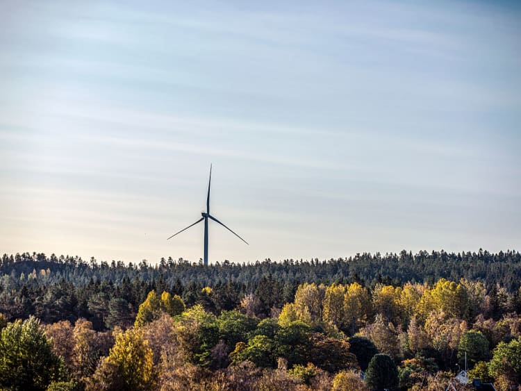 H&auml;rn&ouml;sand (Zweden) - Foto 44