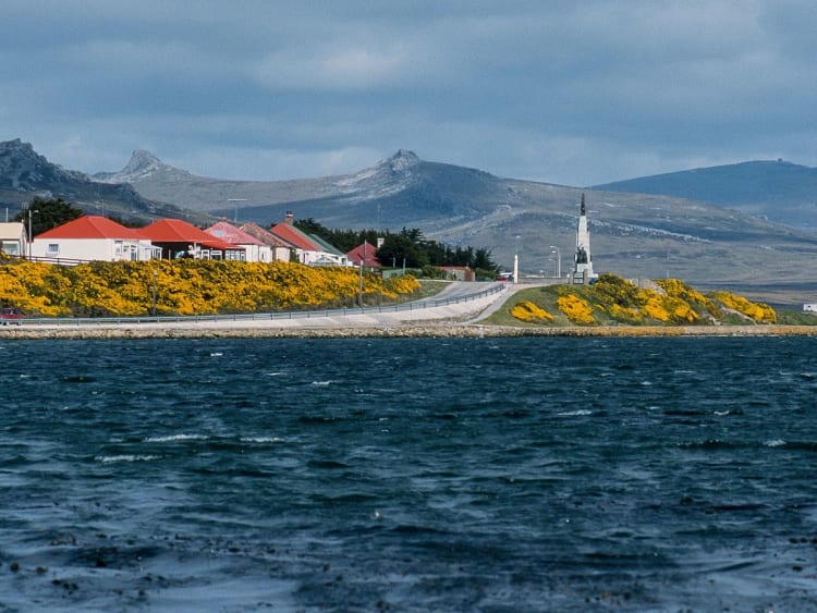 Port Stanley, Falklandinseln &ndash; K&uuml;stenstra&szlig;e mit gelben Bl&uuml;tenstr&auml;uchern und Leuchtturm