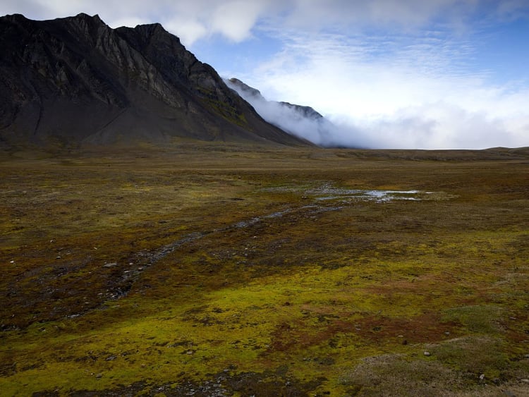 Bamsebu (Svalbard) - Image 25