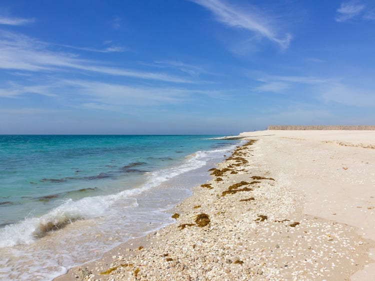 Sir Bani Yas, VAE &ndash; Wellen rollen sanft an den hellen Strand mit klarer Sicht auf das offene Meer