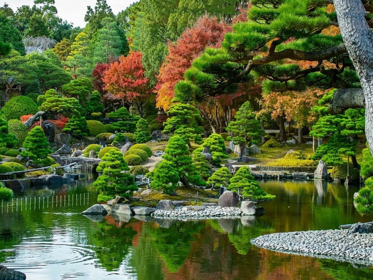Sakaiminato, Japan &ndash; Teich im Zengarten mit Kiefern und buntem Herbstlaub
