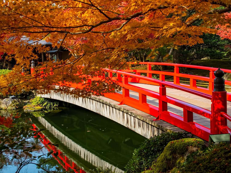Sakaiminato, Japan &ndash; leuchtend rote Br&uuml;cke spannt sich &uuml;ber gr&uuml;nen Gartenteich