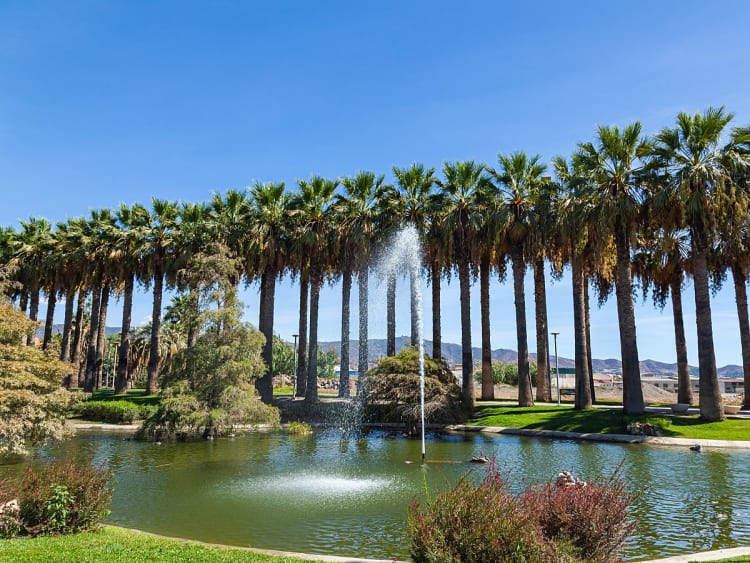 Motril, Spanien &ndash; hoher Palmenhain mit Wasserbecken und zentralem Springbrunnen