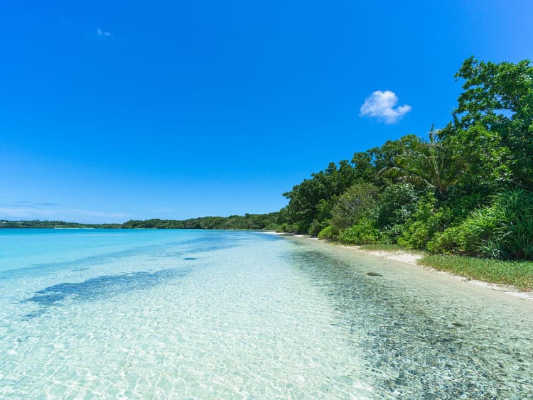 Ishigaki, Japan &ndash; kristallklares Wasser an dicht bewachsenem Strand