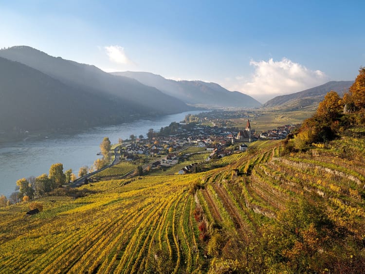 Wei&szlig;enkirchen, &Ouml;sterreich &ndash; Goldene Weinberge &uuml;ber dem Donautal im Abendlicht