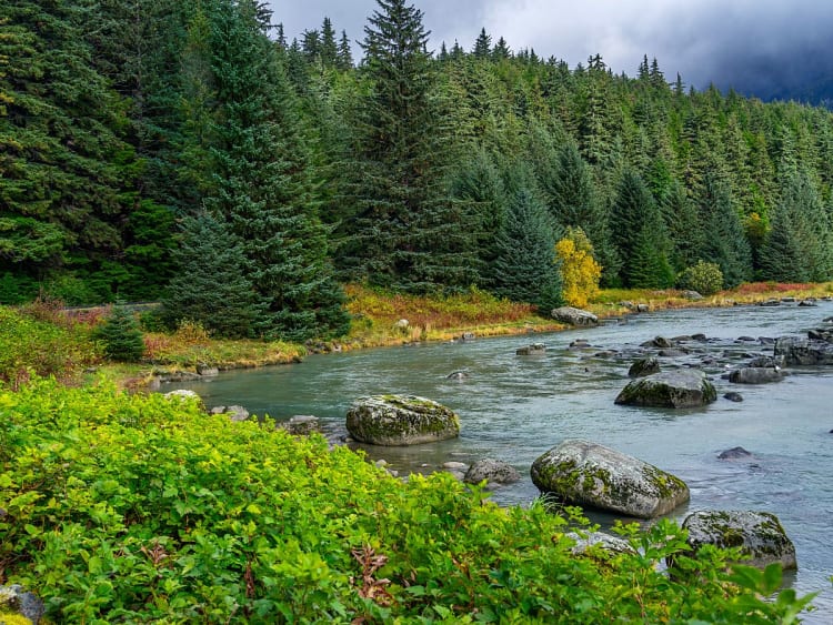 Haines, Alaska, USA &ndash; Klarer Gebirgsfluss mit Felsen am Rand dichter Tannenw&auml;lder