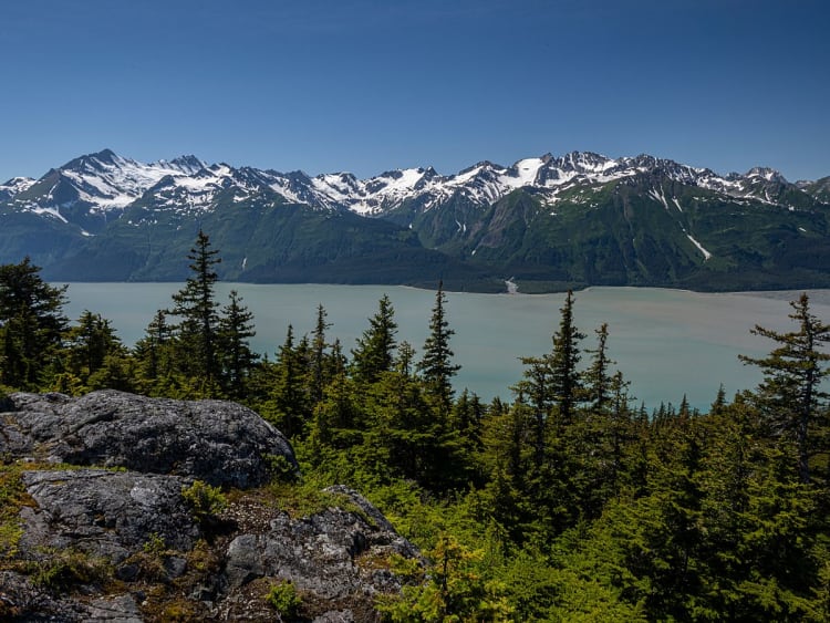 Haines, Alaska, USA &ndash; Fichtengipfel vor Gletschersee und zerkl&uuml;fteter Bergkette
