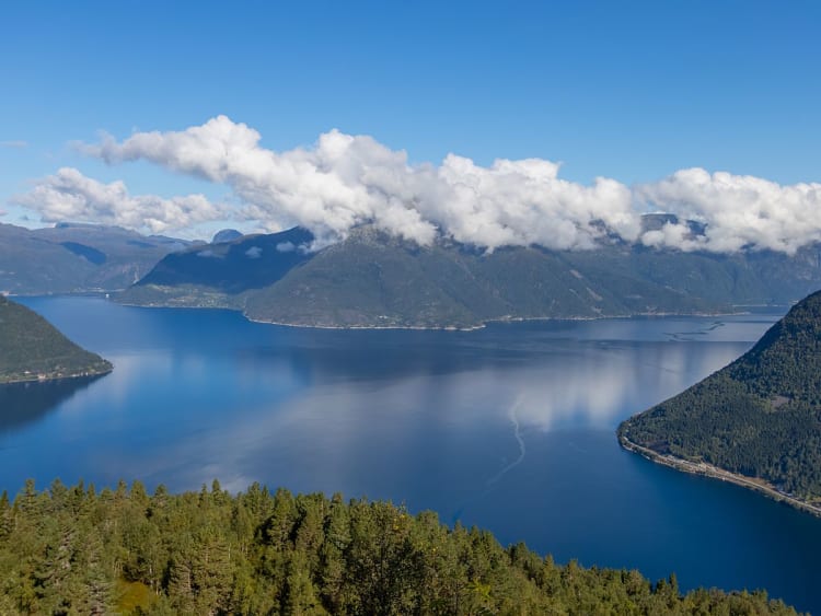 Hardangerfjord, Norwegen &ndash; Tiefblauer Fjord schl&auml;ngelt sich durch bewaldete H&uuml;gel