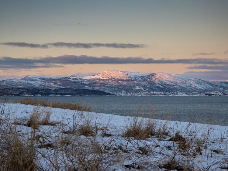 Harstad, Norwegen &ndash; Bunte Holzh&auml;user schmiegen sich an leuchtend herbstlichen Waldhang