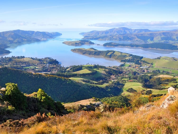 Lyttelton Harbour, Neuseeland &ndash; Gr&uuml;ne H&uuml;gellandschaft mit verzweigten Wasserarmen