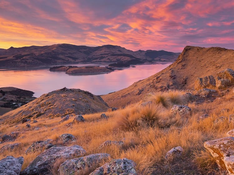 Lyttelton Harbour, Neuseeland &ndash; Abendstimmung mit Felsen und goldenem Gras