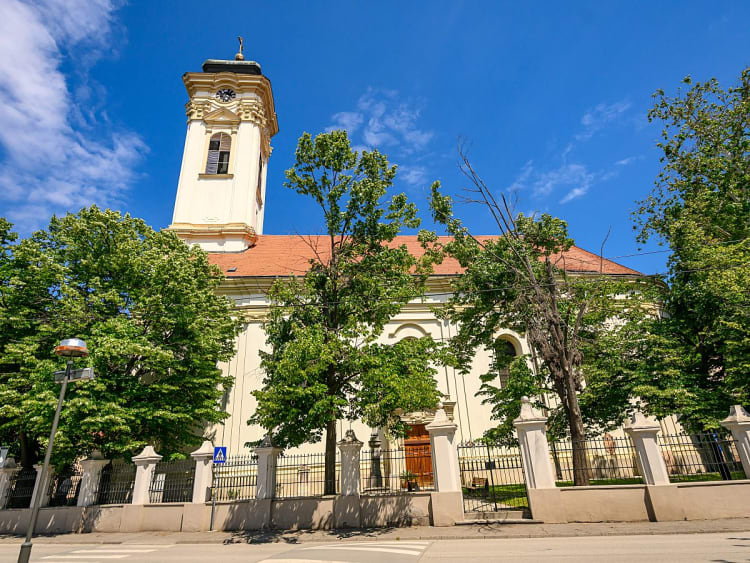 Novi Sad, Serbien &ndash; helle Barockkirche ragt &uuml;ber gr&uuml;nem Bl&auml;tterdach hervor