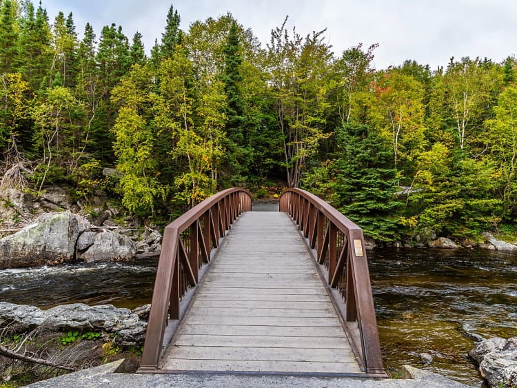 Corner Brook, Kanada &ndash; schmale Br&uuml;cke f&uuml;hrt durch Flusslandschaft im Nadelwald