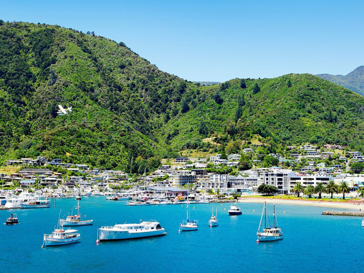 Picton, Neuseeland &ndash; Boote ankern vor der Stadt, eingebettet in &uuml;ppiges K&uuml;stenpanorama