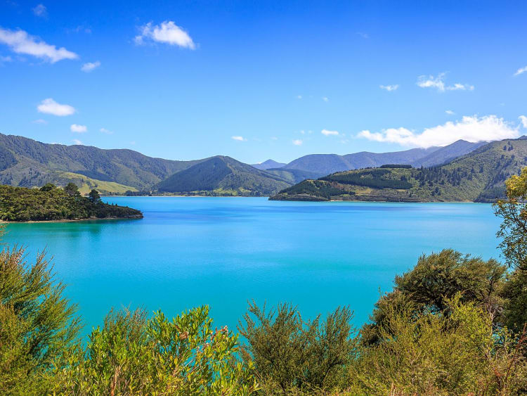 Picton, Neuseeland &ndash; fjord&auml;hnliche Bucht mit t&uuml;rkisblauem Wasser und dichter Vegetation