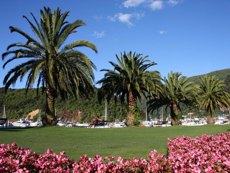 Picton, Neuseeland &ndash; bunte Bl&uuml;ten und Palmen rahmen den Blick auf Marina und Fjord